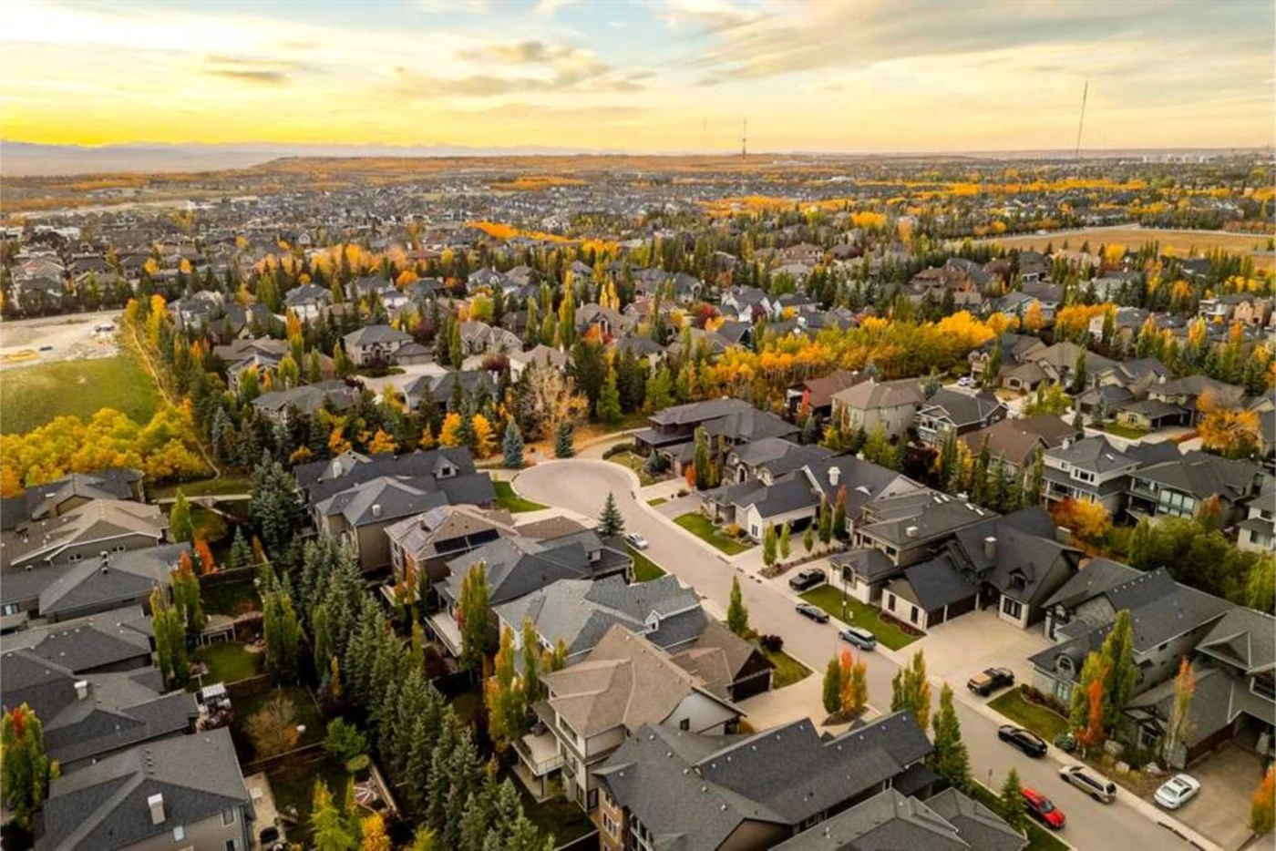 Aspen Woods public portfolio image
